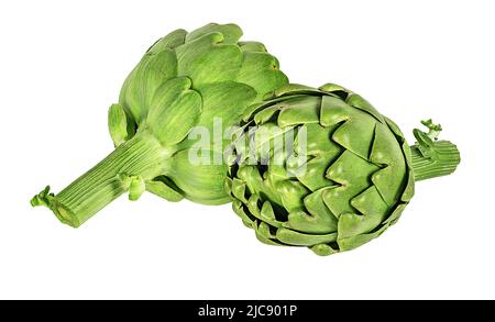 Fiore di carciofo gemma commestibile isolato su sfondo bianco. Foto Stock