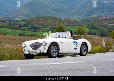 CAGLI , ITALY - OTT 24 - 2020 : AUSTIN HEALEY 100/4 BN1 1954 su una vecchia auto da corsa nel rally Mille miglia 2020 la famosa corsa storica italiana (1927- Foto Stock