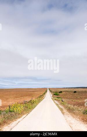 Strada rurale in Algarve che si estende in lontananza (Portogallo) Foto Stock