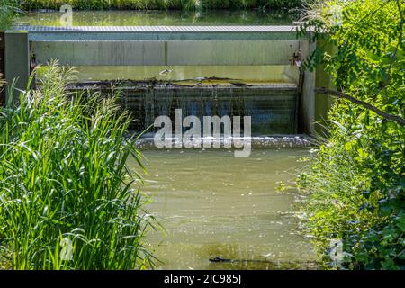 Ruscello con acqua che scorre in un piccolo stramazzo sotto un ponte con un passaggio di metallo, rami bloccati, circondato da verde vegetazione selvaggia, soleggiata primavera giorno Foto Stock