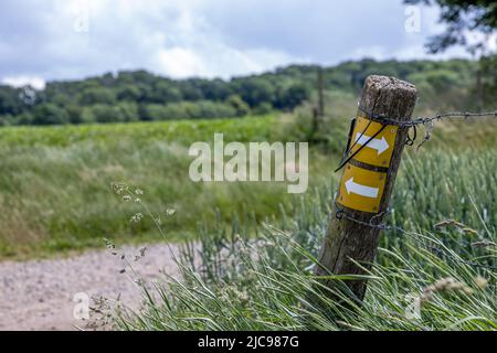 Palo di legno con due placche gialle, frecce che puntano la strada, sentiero escursionistico tra prati agricoli olandesi, alberi lussureggianti in sfondo sfocato, primavera giorno Foto Stock