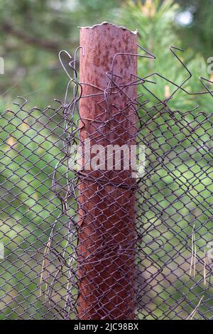 Mesh vecchia gabbia ragged nel giardino e un palo arrugginito con erba verde come sfondo. Recinzione metallica con rete metallica. Recinzione metallica in rete di ferro di acciaio. Foto Stock