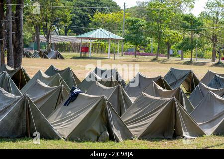 Scout tenda in campo forestale. Foto Stock