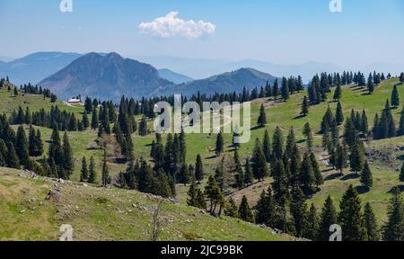 Un'immagine del paesaggio di Velika Planina, o altopiano di grandi pascoli. Foto Stock