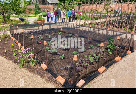 Il Giardino della cucina nel giardino murato di Weston a RHS Bridgewater, Worsley, Manchester Foto Stock