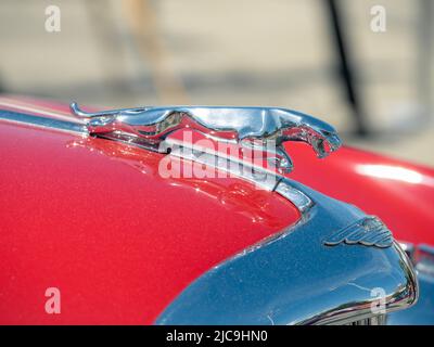 Bucarest, Romania - 05.20.2022: Primo piano con la Jaguar Leaping l'emblema del costruttore automobilistico britannico Jaguar Foto Stock