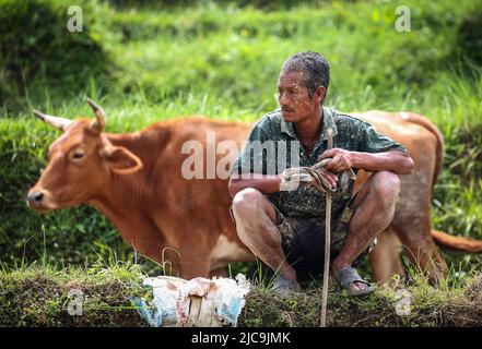 Kathmandu, Bagmati, Nepal. 11th giugno 2022. Un coltivatore riposa durante la piantagione di piantine di riso come la stagione monsonica comincia al villaggio di Chhampi in Lalitpur, Nepal il 11 giugno 2022. (Credit Image: © Sunil Sharma/ZUMA Press Wire) Foto Stock