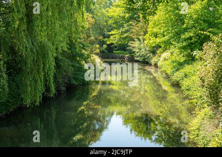 Fiume Kleine Geul nel Limburgo meridionale, nei Paesi Bassi, in una giornata estiva soleggiata Foto Stock