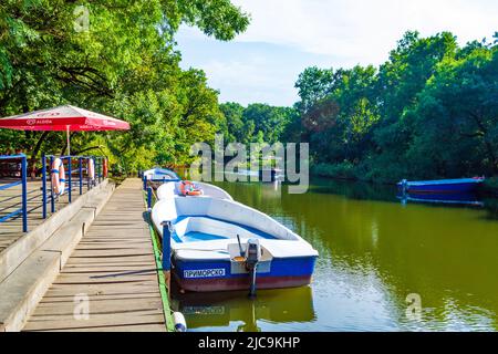 Vista del fiume Ropotamo-a nel sud-est della Bulgaria. La parte inferiore del fiume è un'area protetta Ropotamo Reserve.Springs in Strandzha Mountains Foto Stock