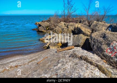 Riva con pietre e piccola vegetazione sulla spiaggia di sabbia del lago Erie, Ohio Stati Uniti Foto Stock