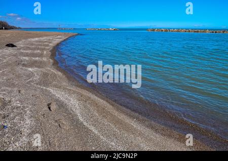 Shore Sandy Stormy Dreissen molluschi conchiglie sul lago Erie, Ohio Stati Uniti Foto Stock