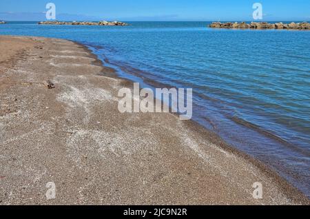 Shore Sandy Stormy Dreissen molluschi conchiglie sul lago Erie, Ohio Stati Uniti Foto Stock