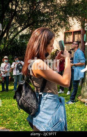 Medellin, Antioquia, Colombia - Febbraio 19 2022: Giovane donna sudamericana sta guardando il suo telefono in un incontro nel Giardino Foto Stock