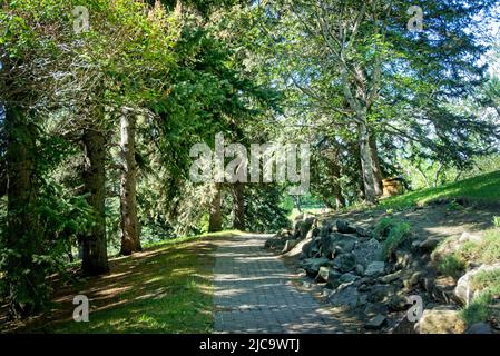 Riley Park Calgary Alberta Foto Stock