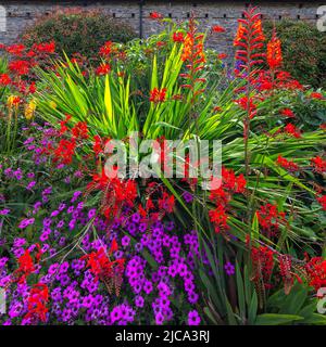 Il Sunken Garden a fiore pieno presso gli Aberglasney Gardens Foto Stock