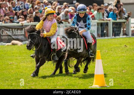 Wadebridge, Cornovaglia, Inghilterra. Sabato 11th Giugno 2022. Dopo un'assenza di due anni a causa di Covid, l'ultimo giorno del Royal Cornwall Show ha attirato grandi folle e ha visto il popolare evento inondato di caldo sole. Uno dei momenti salienti è stato lo Shetland Pony Grand National che ha fatto il suo debutto allo show. I jockeys che partecipano, tra i 8 e i 14 anni, si stanno sfidando per partecipare a uno dei 11 posti di qualificazione per il London International Horse Show all'Olympia di dicembre. La concorrenza aumenta i soldi per il Bob Champion Cancer Trust. Credit: Terry Mathews/Alamy Live News Foto Stock