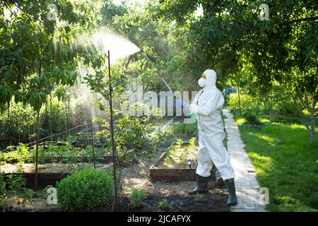 Il processo di trattamento di piante con pesticidi. Agricoltore in tuta protettiva e maschera passeggiando attraverso frutteto con pollinatore macchina sulle sue spalle e spr Foto Stock