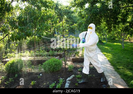 Il processo di trattamento di piante con pesticidi. Agricoltore in tuta protettiva e maschera passeggiando attraverso frutteto con pollinatore macchina sulle sue spalle e spr Foto Stock