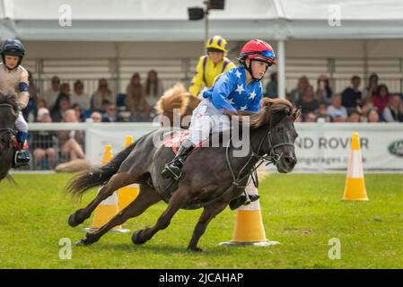 Wadebridge, Cornovaglia, Inghilterra. Sabato 11th Giugno 2022. Dopo un'assenza di due anni a causa di Covid, l'ultimo giorno del Royal Cornwall Show ha attirato grandi folle e ha visto il popolare evento inondato di caldo sole. Uno dei momenti salienti è stato lo Shetland Pony Grand National che ha fatto il suo debutto allo show. I jockeys che partecipano, tra i 8 e i 14 anni, si stanno sfidando per partecipare a uno dei 11 posti di qualificazione per il London International Horse Show all'Olympia di dicembre. La concorrenza aumenta i soldi per il Bob Champion Cancer Trust. Credit: Terry Mathews/Alamy Live News Foto Stock