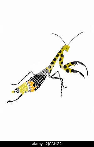 carino, mascotte cartoon, illustrazione mantis disegno, isolato. Foto Stock