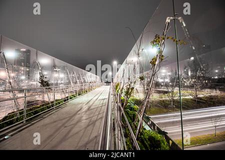 Cavalcavia pedonale a Santiago, Cile Foto Stock