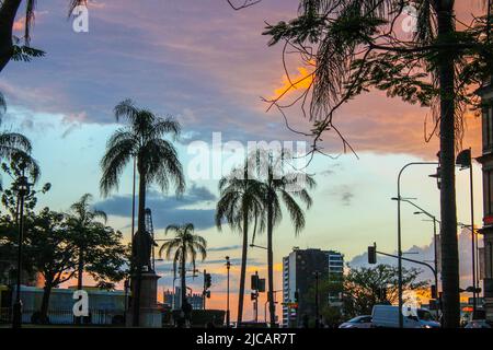 Alberi tropicali che si affacciano su edifici e colorati tramonti dell'emisfero meridionale a Brisband Australia. Foto Stock