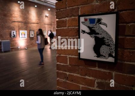 Seattle, Stati Uniti. 11th Giu 2022. BanksyLand non autorizzato e senza maschera. La mostra internazionale touring è stata inaugurata presso l'Axis Gallery in Pioneer Square il 3rd giugno e si svolge nel 16th. Lo spettacolo include lavori in studio, opere d'arte di strada recuperate, originali, così come nuove installazioni immersive mai viste prima. Prodotto da una società internazionale di arti esperienziali Mille Ways, specializzata in eventi innovativi e coinvolgenti. Dopo Seattle la mostra si dirige verso Austin, Dallas e Houston Texas. James Anderson/Alamy Live News Foto Stock