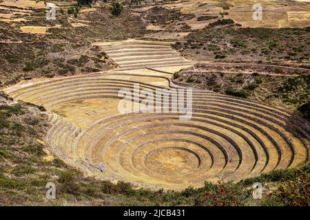 Moray Terraces--Area archeologica agricola circa 500 anni, vicino Cusco (Cuzco) Perù Foto Stock