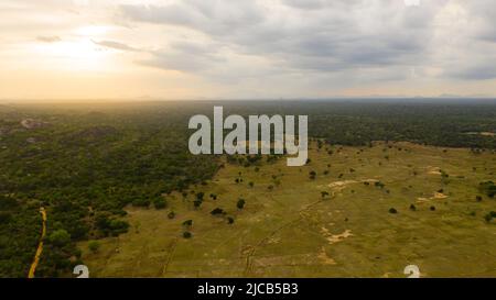 Tramonto nei tropici dello Sri Lanka vista dall'alto. Foto Stock