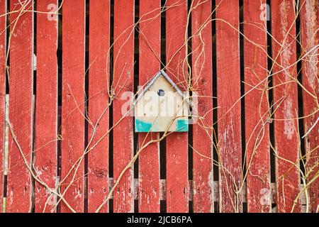 Piccolo birdhouse su pannelli di legno rosso sbiadito con viti Foto Stock