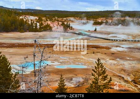 Norris Basin a Yellowstone con acque acide in giorno di vapore Foto Stock