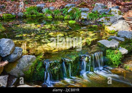 Piccole cascate su rocce di muschio in un pittoresco laghetto Foto Stock