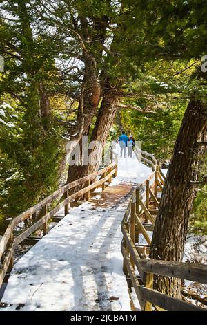 Sentiero sul lungomare coperto di neve attraverso i boschi con coppia di turisti Foto Stock
