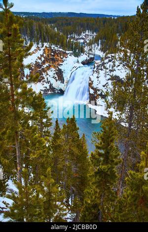 Maestose cascate inferiori in inverno a Yellowstone attraverso i pini Foto Stock