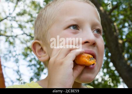 piccolo bel ragazzo che mangia una pesca nel parco estivo Foto Stock