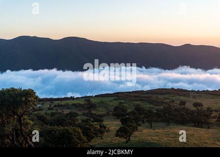 Vista sull'altopiano di Paul da Serra da Fanal a Madeira durante il tramonto Foto Stock