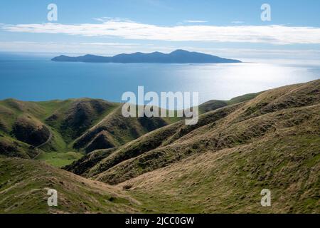 Isola di Kapiti e terreno agricolo vicino a Paekakariki, Wellington, Isola del Nord, Nuova Zelanda Foto Stock