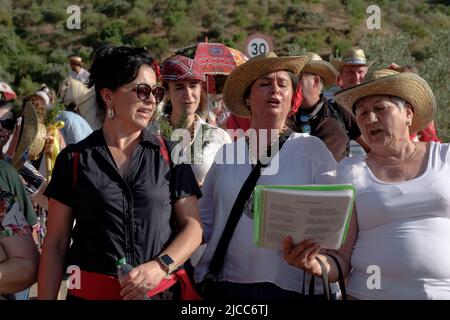 Gli abitanti di Comares pueblo partecipano alla loro annuale romeria o pellegrinaggio nella regione Axarquia di Malaga, Andalucía, Spagna Foto Stock