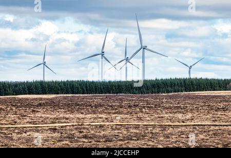 Blawhorn Moss National Nature Reserve e Burnhead Wind Farm turbine, West Lothian, Scozia, Regno Unito Foto Stock