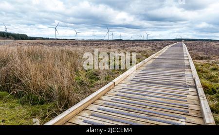 Passerella nella riserva naturale nazionale Blawhorn Moss con turbine eoliche, West Lothian, Scozia, Regno Unito Foto Stock