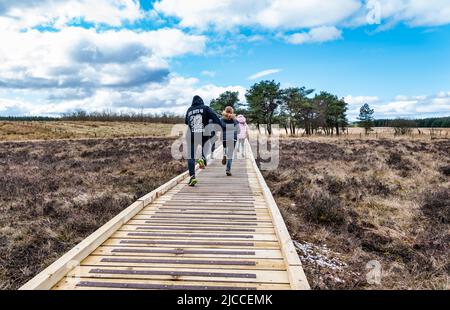 I bambini corrono su una passerella in legno attraverso la Riserva Naturale Nazionale di Blawhorn Moss, West Lothian, Scozia, Regno Unito Foto Stock