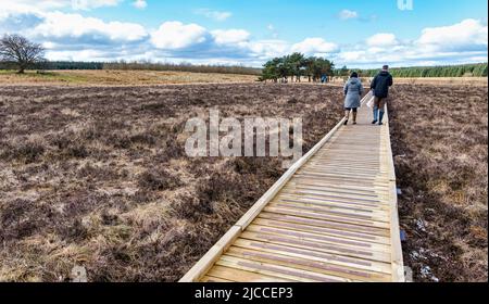 Persone che camminano sul lungomare di legno attraverso la riserva naturale nazionale di Blawhorn Moss, West Lothian, Scozia, Regno Unito Foto Stock