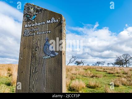 Cartello con il nome presso la riserva naturale nazionale Blawhorn Moss, West Lothian, Scozia, Regno Unito Foto Stock