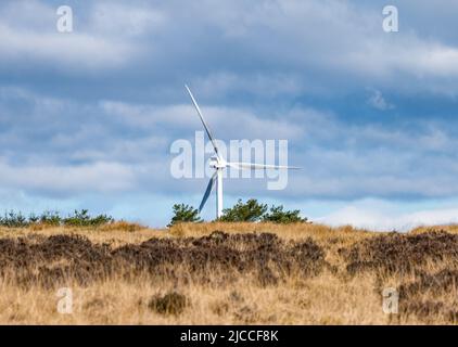 Pale di turbine eoliche presso il parco eolico di Burnhead, la riserva naturale nazionale di Blawhorn Moss, West Lothian, Scozia, Regno Unito Foto Stock