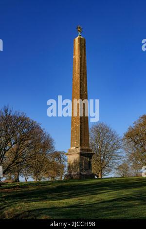 L'obelisco di pietra di Bath del 1839 al sole d'inverno nei terreni di Stourhead House, Wiltshire, Inghilterra, Regno Unito Foto Stock