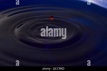 Water drop Fotografia, primo piano di gocce d'acqua rossa in acqua di colore blu scuro. Foto Stock