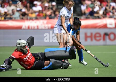 Kharibam Bichu Devi in India, Barbara Nelen in Belgio e Neha Goyal in India combattono per la palla durante una partita di hockey tra le Pantere rosse belghe e l'India nella fase di gruppo (gioco 12 su 16) della competizione femminile FIH Pro League, domenica 12 giugno 2022 a Wilrijk, Anversa. BELGA FOTO JOHAN EYCKENS Foto Stock