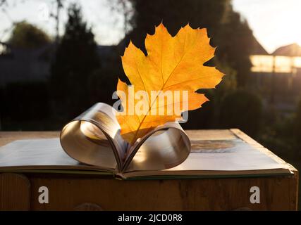 cuore fatto da pagine di libro sullo sfondo del tramonto del sole e una foglia di rovere giallo brillante caduta. Un libro su un tavolo di legno in una giornata d'autunno soleggiata. Il Foto Stock