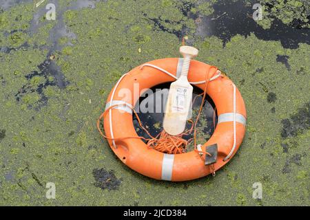 Anello di salvataggio Orange Lifebuoy riversato nel fiume Lea circondato da alghe. Londra - 12th giugno 2022 Foto Stock