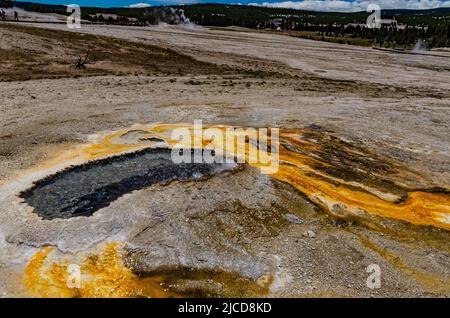 Tappetini alghe-batterici. Sorgente termale calda, piscina calda nel parco nazionale di Yellowstone. USA Foto Stock